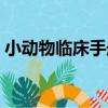 小動物臨床手冊（關于小動物臨床手冊簡介）