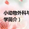 小動物外科與產科學（關于小動物外科與產科學簡介）