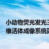 小動物熒光發光三維活體成像系統（關于小動物熒光發光三維活體成像系統簡介）