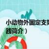 小動物外固定支架臨床實踐（關于小動物外固定支架臨床實踐簡介）