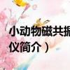 小動物磁共振成像儀（關于小動物磁共振成像儀簡介）