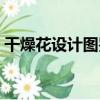 干燥花設計圖鑒（關于干燥花設計圖鑒介紹）