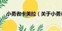 小勇者卡美拉(關于小勇者卡美拉簡介)