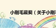 小剛毛菝葜(關于小剛毛菝葜簡介)