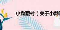 小勐藏村(關于小勐藏村簡介)