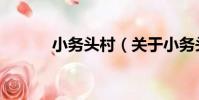 小務頭村(關于小務頭村簡介)