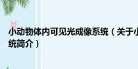 小動物體內可見光成像系統(關于小動物體內可見光成像系統簡介)