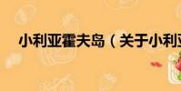 小利亞霍夫島(關于小利亞霍夫島簡介)