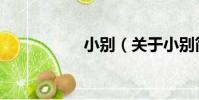 小別(關于小別簡介)