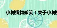 小刺猬找微笑(關于小刺猬找微笑簡介)