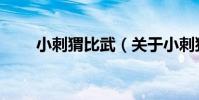 小刺猬比武(關于小刺猬比武簡介)