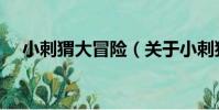 小刺猬大冒險(關于小刺猬大冒險簡介)