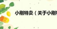 小剛特賣(關于小剛特賣簡介)
