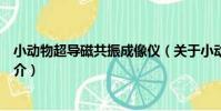 小動物超導磁共振成像儀(關于小動物超導磁共振成像儀簡介)