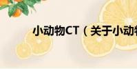 小動物CT(關于小動物CT簡介)