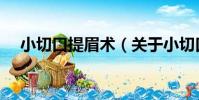 小切口提眉術(關于小切口提眉術簡介)