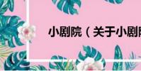 小劇院(關于小劇院簡介)