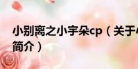 小別離之小宇朵cp(關于小別離之小宇朵cp簡介)