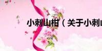 小刺山柑(關于小刺山柑簡介)