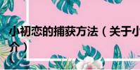 小初戀的捕獲方法(關于小初戀的捕獲方法簡介)