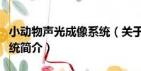 小動物聲光成像系統(關于小動物聲光成像系統簡介)