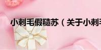 小刺毛假糙蘇(關于小刺毛假糙蘇簡介)