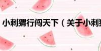 小刺猬行闖天下(關于小刺猬行闖天下簡介)