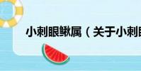 小刺眼鰍屬(關于小刺眼鰍屬簡介)