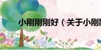 小剛剛剛好(關于小剛剛剛好簡介)