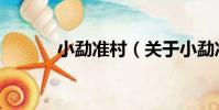 小勐準村(關于小勐準村簡介)
