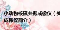 小動物核磁共振成像儀(關于小動物核磁共振成像儀簡介)