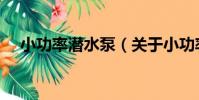小功率潛水泵(關于小功率潛水泵簡介)