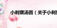 小刺猬湯圓(關于小刺猬湯圓簡介)