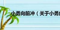 小勇向前沖(關于小勇向前沖簡介)