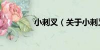 小刺叉(關于小刺叉簡介)