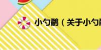 小勺鷸(關于小勺鷸簡介)