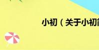 小初(關于小初簡介)