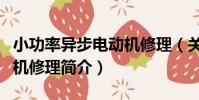 小功率異步電動機修理(關于小功率異步電動機修理簡介)