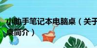 小助手筆記本電腦桌(關于小助手筆記本電腦桌簡介)