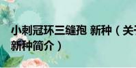 小刺冠環三縫孢 新種(關于小刺冠環三縫孢 新種簡介)
