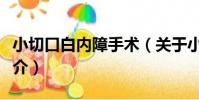小切口白內障手術(關于小切口白內障手術簡介)