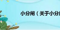 小分閘(關于小分閘簡介)