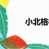小北格村（關于小北格村簡介）