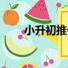 小升初推優（關于小升初推優簡介）