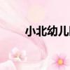 小北幼兒園（關于小北幼兒園簡介）