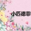 小匹德菲特（關于小匹德菲特簡介）