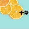 干草粉（關于干草粉介紹）