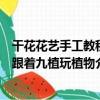干花花藝手工教程跟著九植玩植物（關于干花花藝手工教程跟著九植玩植物介紹）