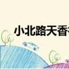 小北路天香街（關于小北路天香街簡介）