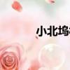 小北塢村（關于小北塢村簡介）